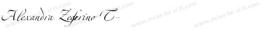 Alexandra Zeferino T字体转换